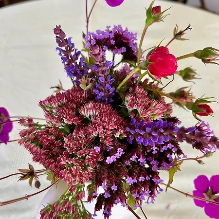 Weserbergland Apartamento Vahlbruch