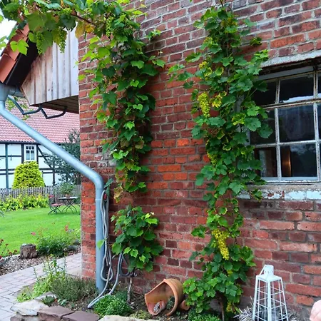 Weserbergland Appartement *