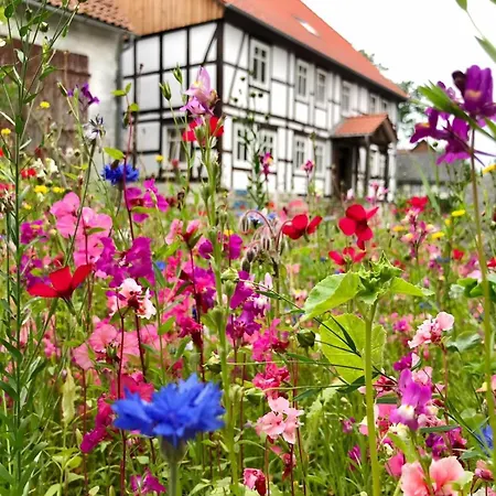Weserbergland - Pool, Sauna & Naturretreat Appartement Vahlbruch