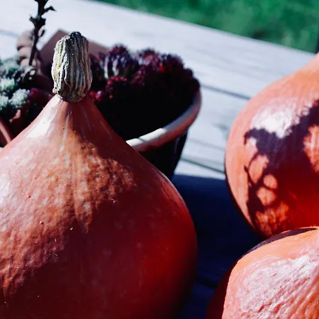 Weserbergland Apartamento *