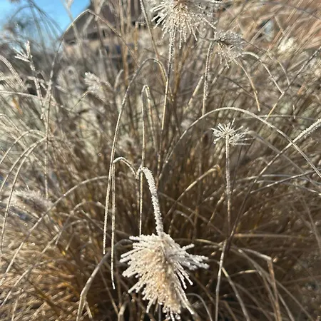 Weserbergland Appartement Vahlbruch