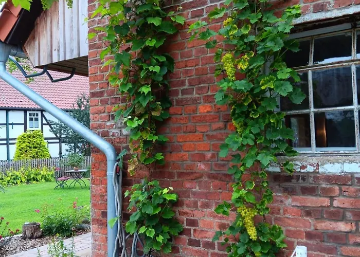 Weserbergland Апартаменты *