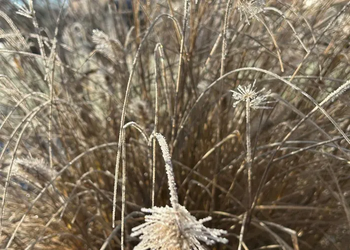 Weserbergland Апартаменты Vahlbruch